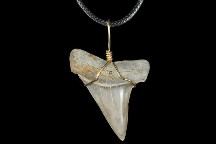 Wire Wrapped, Fossil Mako Tooth Necklace #130889
